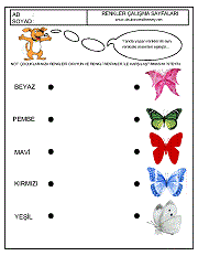 okul öncesi kavram gelişim çalışmaları, renk kavramı, renkleri eşleştir çalışmaları